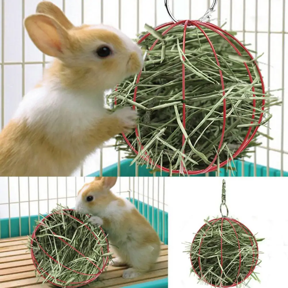 

Pet Hay Manger Food Ball Rabbit Hamster Grass Rack Stainless Steel Plating Feeder for Household Animal Rat Mouse Ornaments