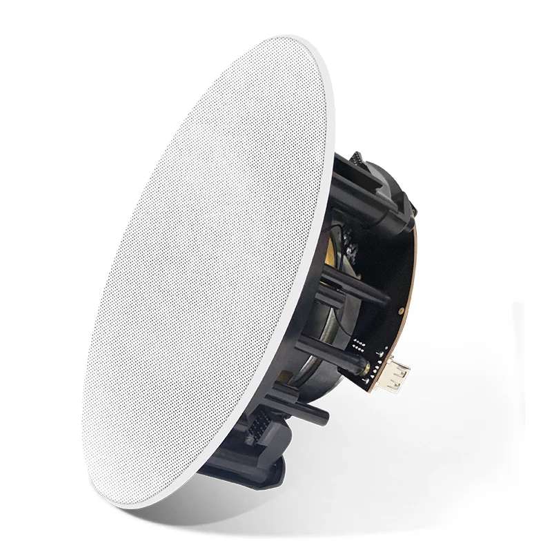 

Многофункциональный беспроводной Wi-Fi 2,4G 5G Airplay, много комнат 50 Вт 8 Ом DLNA BT 5,0 LAN USB, активный потолочный динамик с усилителем