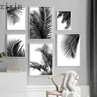 Черно-белая Картина на холсте с изображением растений, тропические Пальмовые Листья, настенный художественный принт, современный плакат в стиле Нордик, украшение для гостиной
