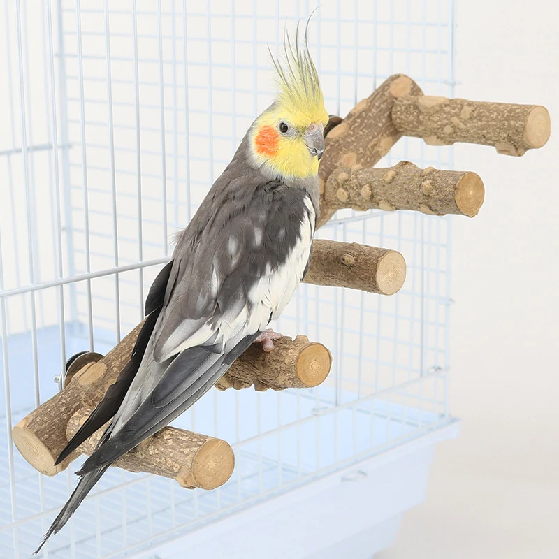 

Bird Perches Natural Parrot Perch Stand Paw Grinding Fork Parakeet Climbing Branches Toy Standing Branch Ladder Cage Accessories