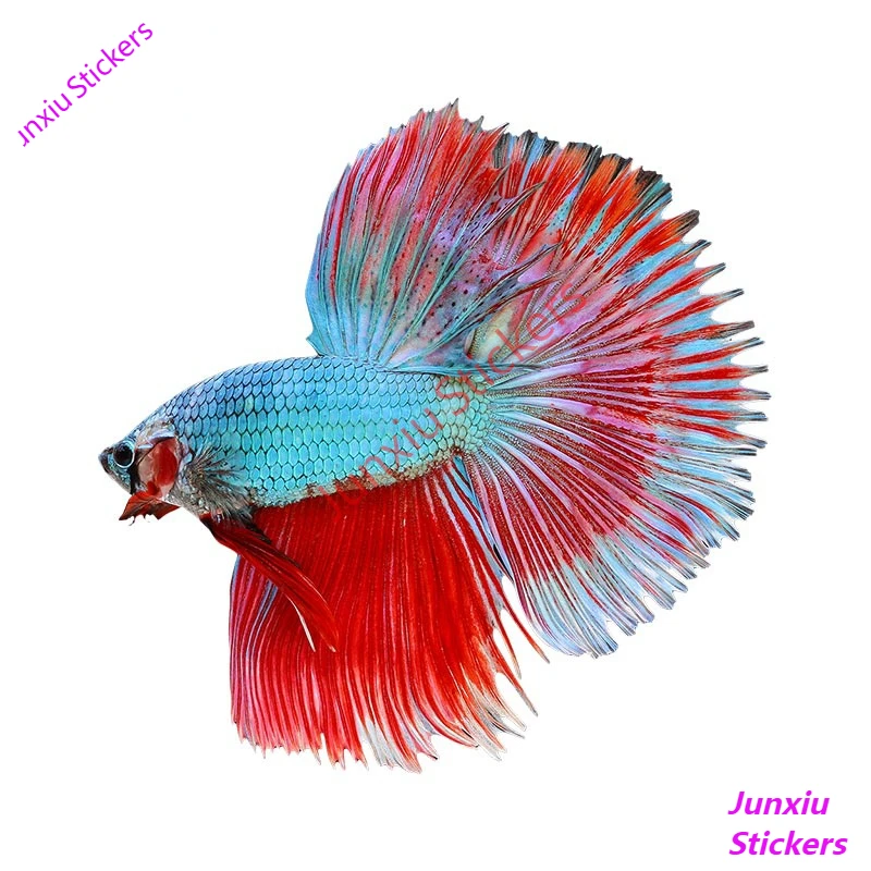 

Cartoon Animals Car Stickers for Blue Paradise Male Betta Fish Decal Laptop Air Conditioner Decal Windshield Graphics PVC Decor