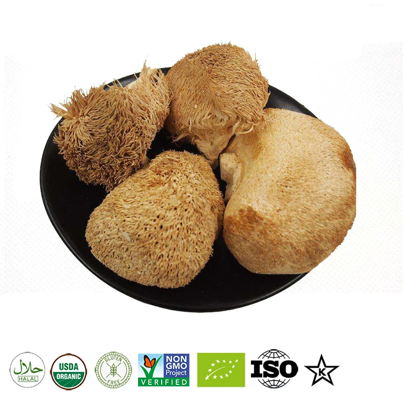 

Натуральный высококачественный горячая Распродажа органический гриба льва (экстракт 20:1),Shi Zi Zong Mao поддерживает фокус, память