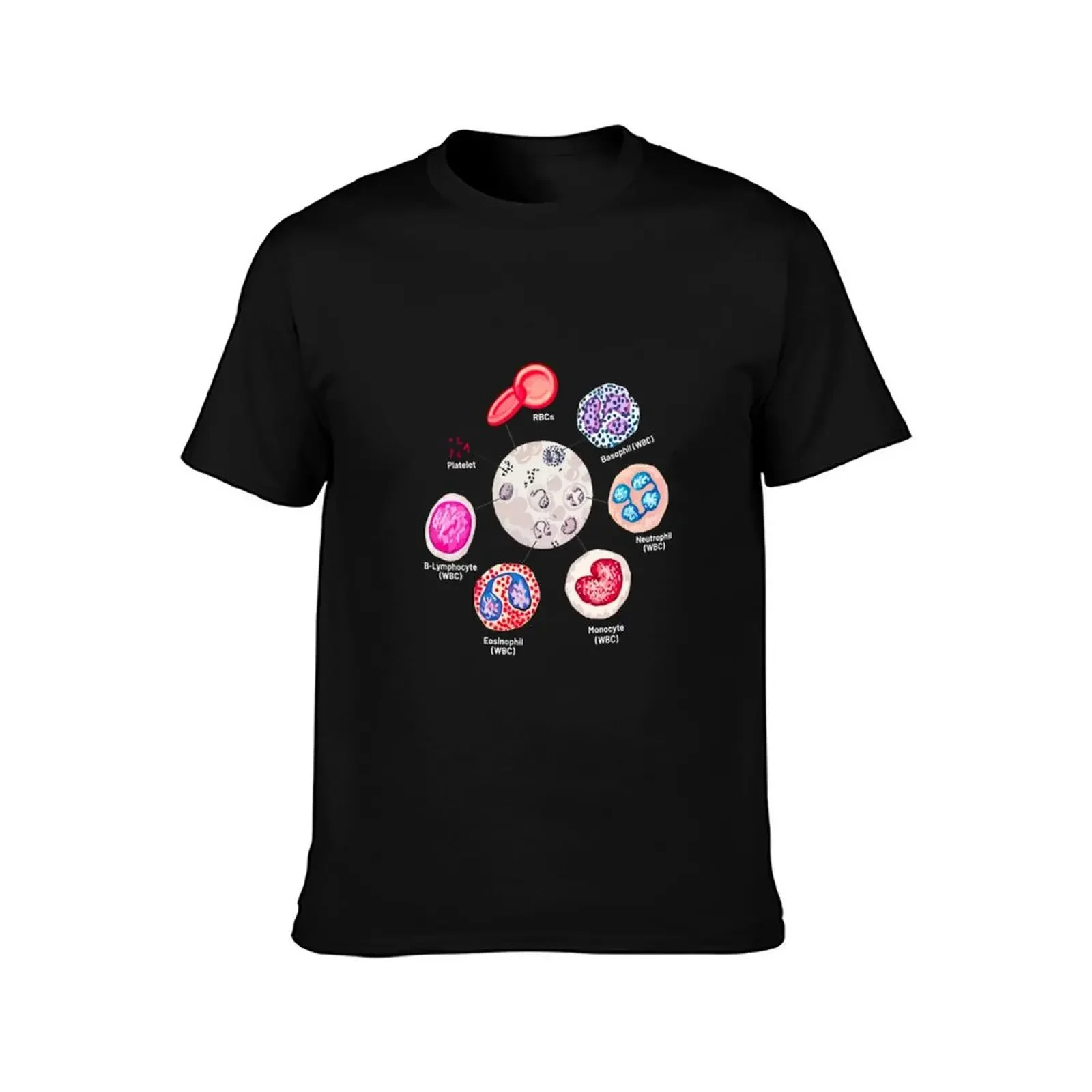 Кровь клеток. РБЦ. WBCs Базофил Тромбоцит Нейтрофил Б-Лимфоцит Моноцит Эосинофил.