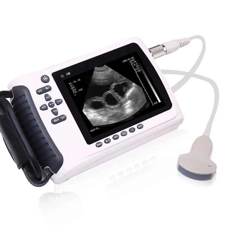 

Portable sheep pig cow Equine Ultrasound Ultrasound Handheld Device Veterinary Ultrasound Machine