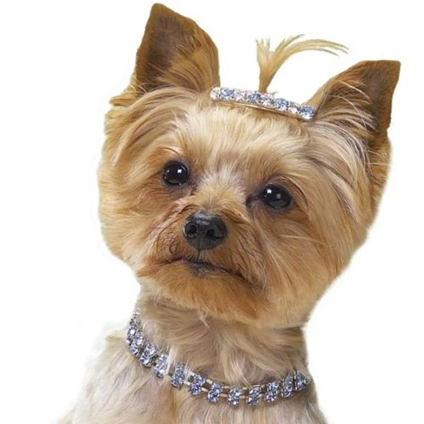 

Rhinestone Dog Collar Harness Small Dog Necklace Crystal Bling Elastic Bands Pet Cat Collar Pet Dog Accessories