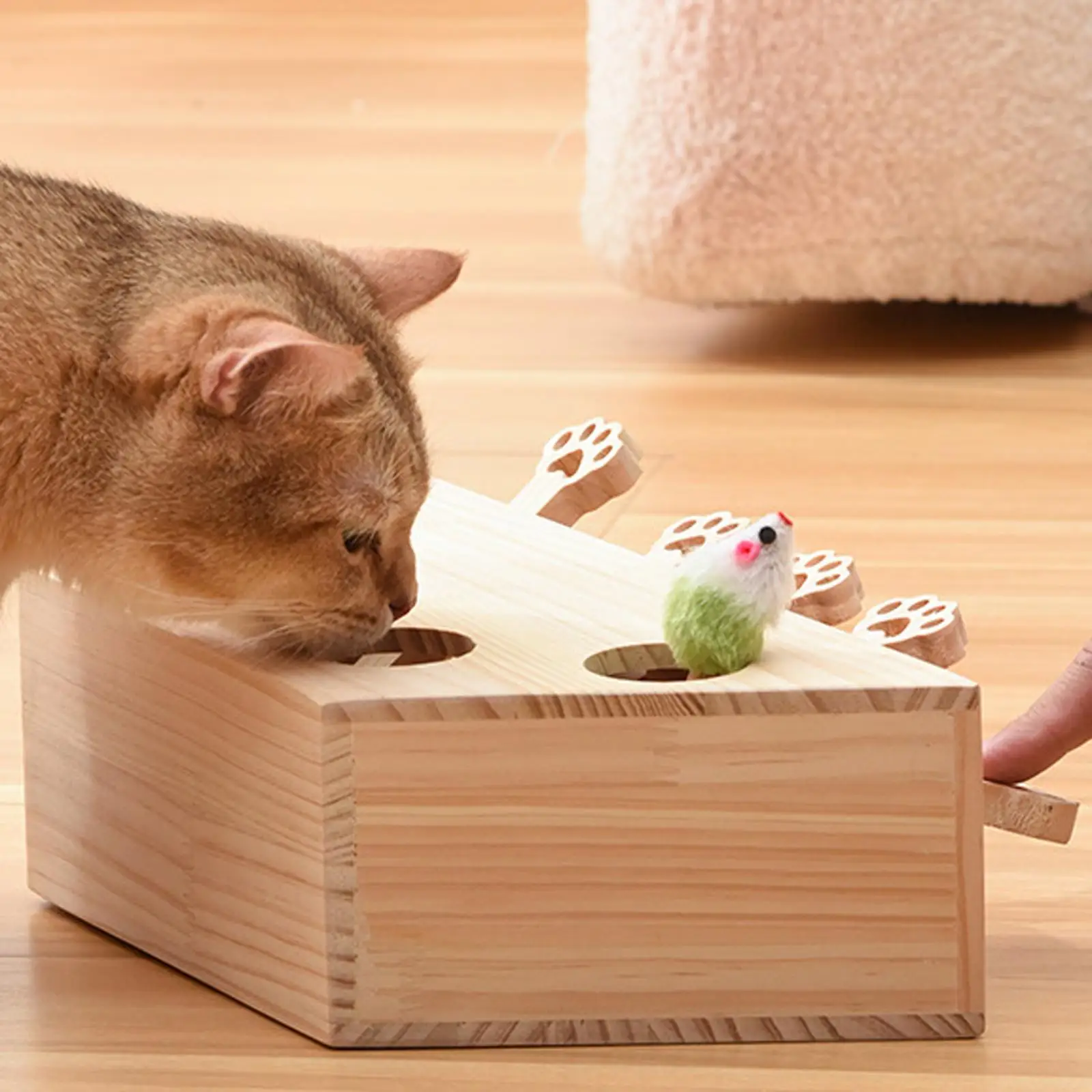 

cat Hamster Toy 5 Holes Interactive Claw Sharpener Training Tool Gophers Toys for Exercise Hitting Hamster Playing