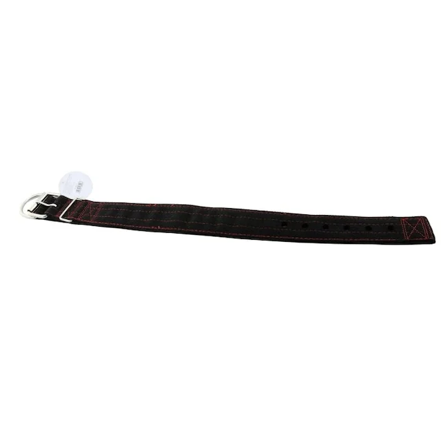 

Lion-1860-65 CM Dog Neck Collar 409762342