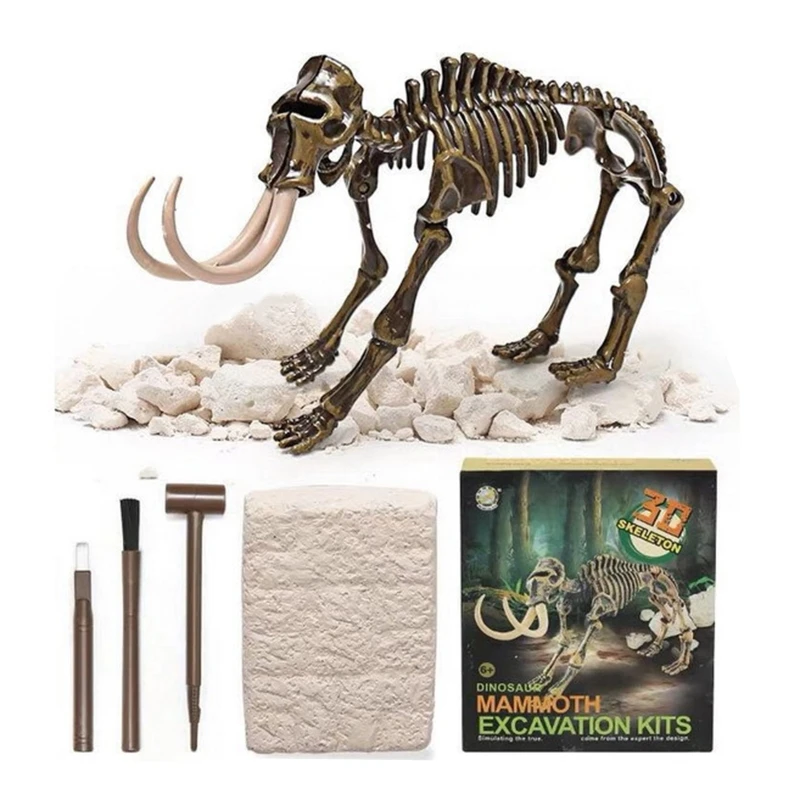 

Dinosaur Fossil Digging Kits Surprise Toy Box Dig Kit Toy Figurines Doll Girls Gift Archaeological Toy Children STEM Toy