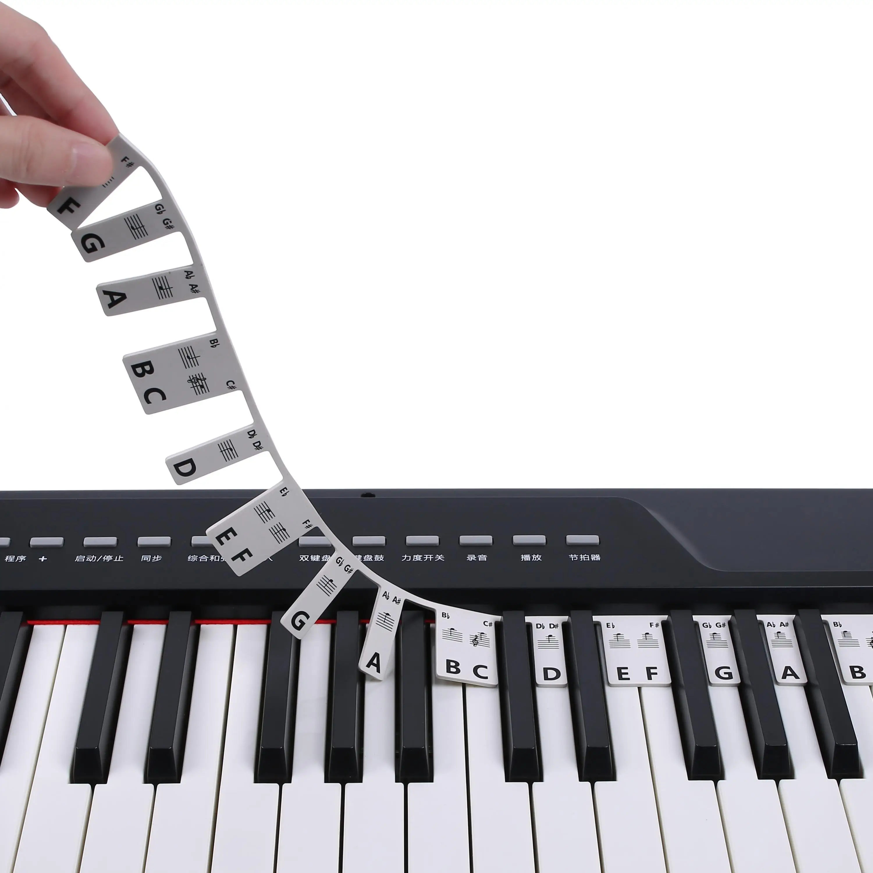 

Piano Note Marker Free Paste Overlay Type 61 / 88 Keys Silicone Strips for Beginners / Kids, No Glue Practice Sticker