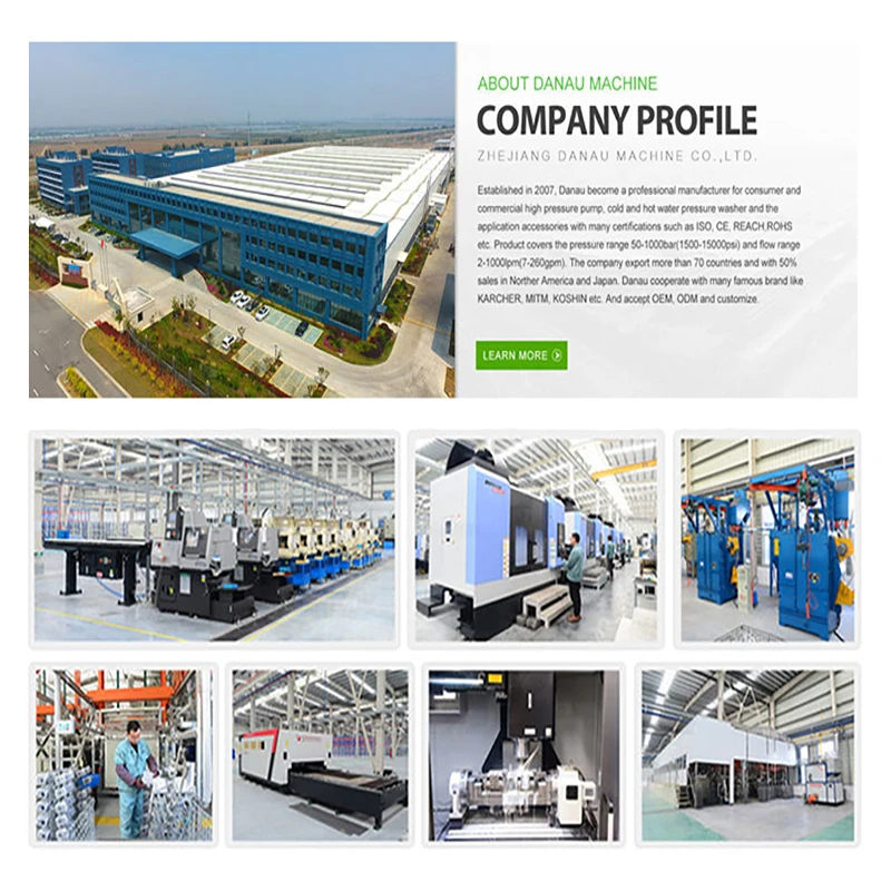 DANAU DCQ-39/21grsh Idropulitrice Autolavaggio 390 бар очиститель высокого давления очистка струей воды