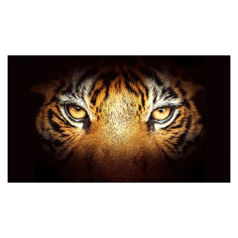 

A166 For Truck Suv Pickup 3D Rear Windshield Sticker Sun Visor Decor Rear Window Glass Poster 168 X 74CM / 66 X 29 Inch