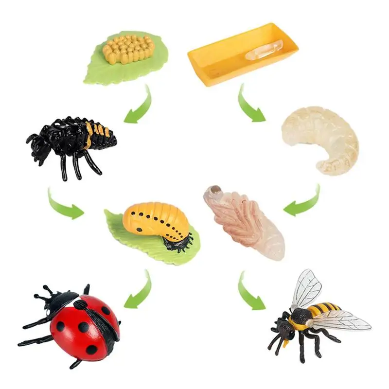 

Фигурки из жизненного цикла, игрушки, Божья коровка и пчела, 8 шт., набор из жизненного цикла, биологическая модель, фигурки для роста животных, божья коровка, игрушки для обучения и