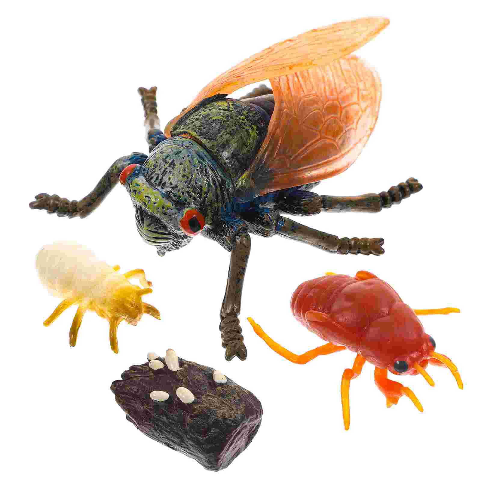 

1 Set of Simulation Cicada Growth Cycle Ornaments Display Models Faux Cicada Decors for Kids