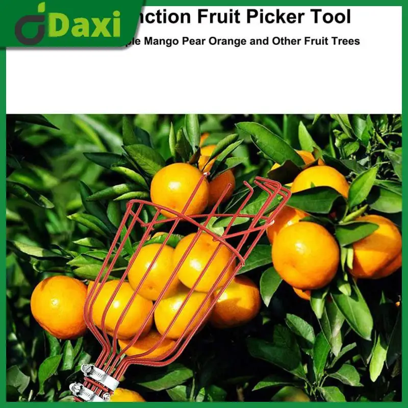 

Durable Fruit Collector Portable Sturdy Fruit Picker Red Easy To Use Fruit Picking Machine Adjustable Picking Device Steel