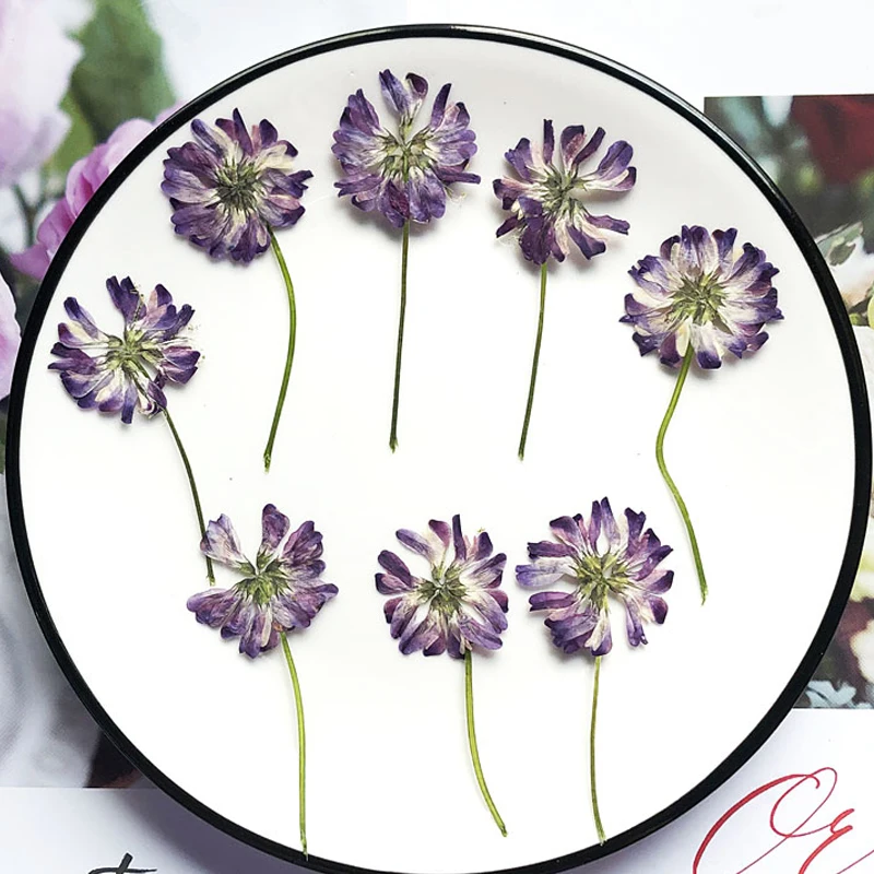 

Original Purple Dried Flower Bags Specimen For DIY Jewelry Pendant Free Shipment 100Pcs