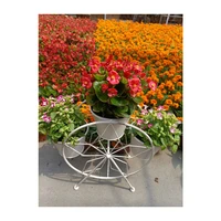 factory price ferris wheel style metal flower planter pots vintage garden decoration