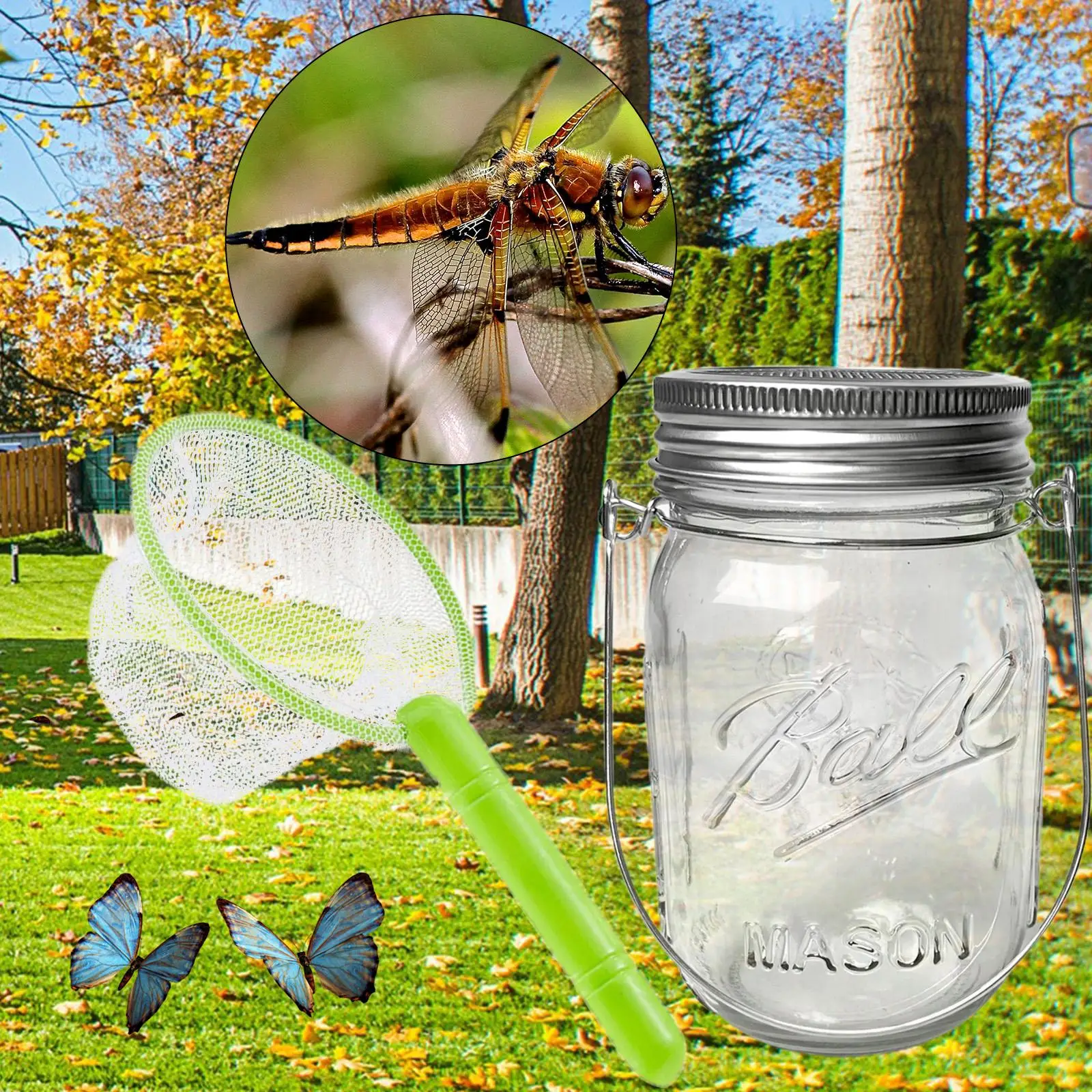 

outdoor Kit Collecting Jar Nature Exploration for Boys Girls Gifts