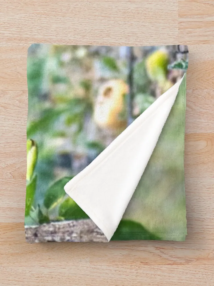 Черно-белое одеяло Skunk одеяла и покрывала