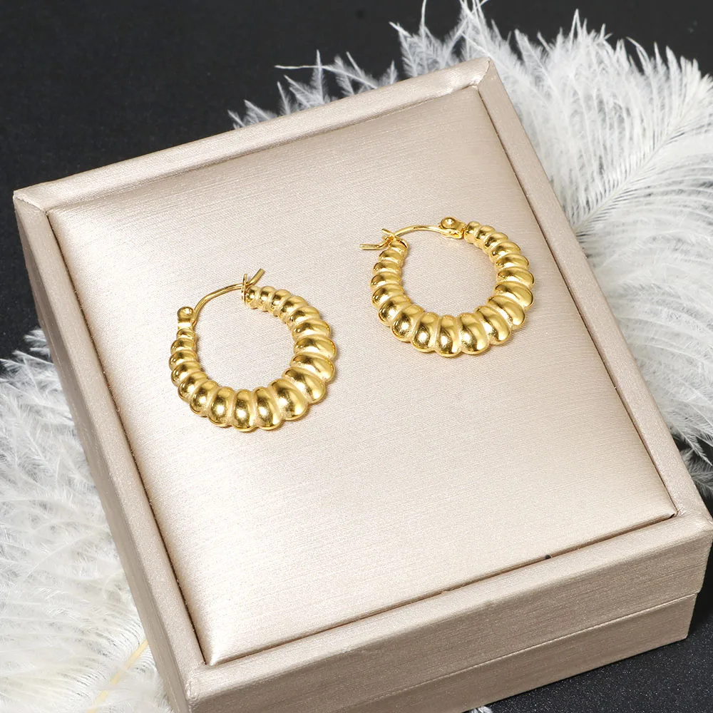 ZMfashion французские винтажные витые серьги-кольца для женщин серьги из нержавеющей