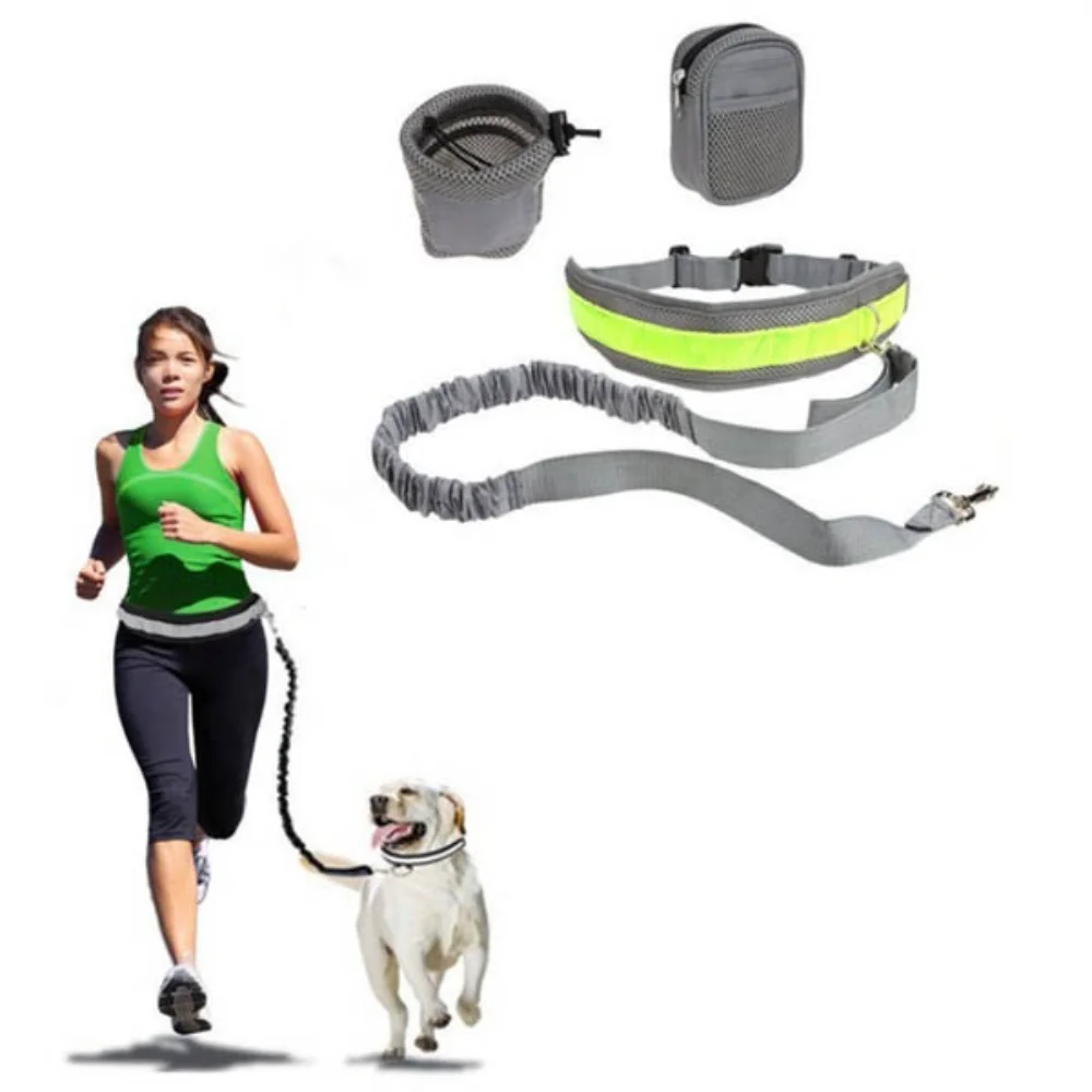

Delysia King Four-piece Running Traction Suit for Dogs