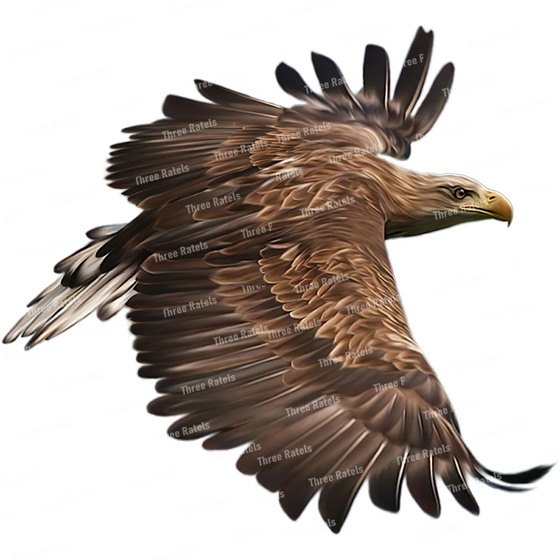 Персонализированная наклейка Three Ratels QCF168 с рисунком острых Орлов на стену для