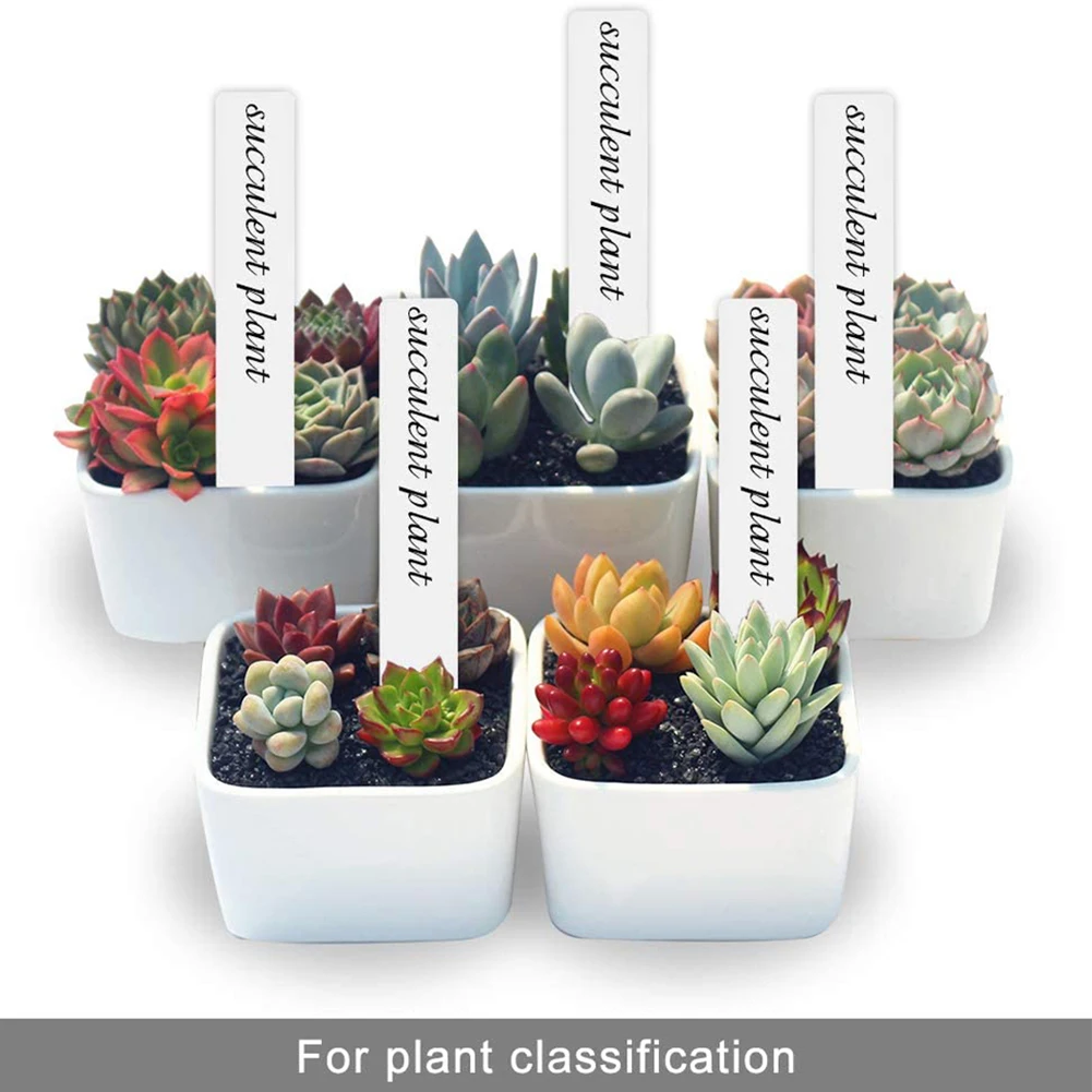 

100pcs Plastic Plant Labels Reusable Garden Plants Marker Waterproof Plastic Nursery Plaques For Plants Tags Markers Garden Tool