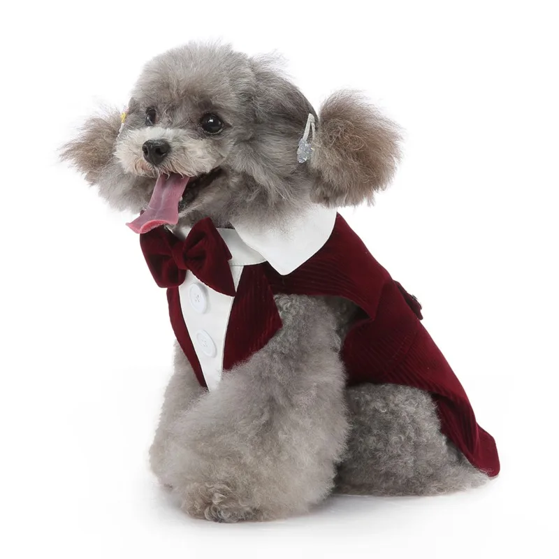 

Pet Dog Clothes Swallowtail With Bib Comfy Tail Coats For Small Medium Dogs Poodle Yorkshire Costume Wedding Party Puppy Suits