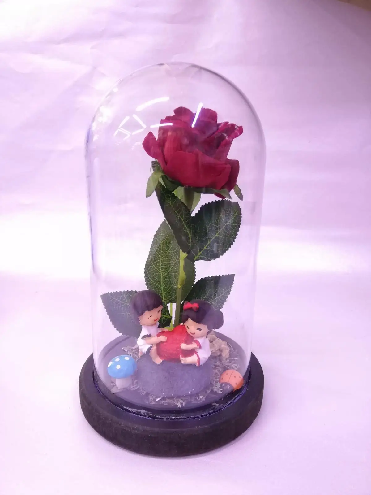 

Terrarium Dome Sevgili Model Decorative Gift
