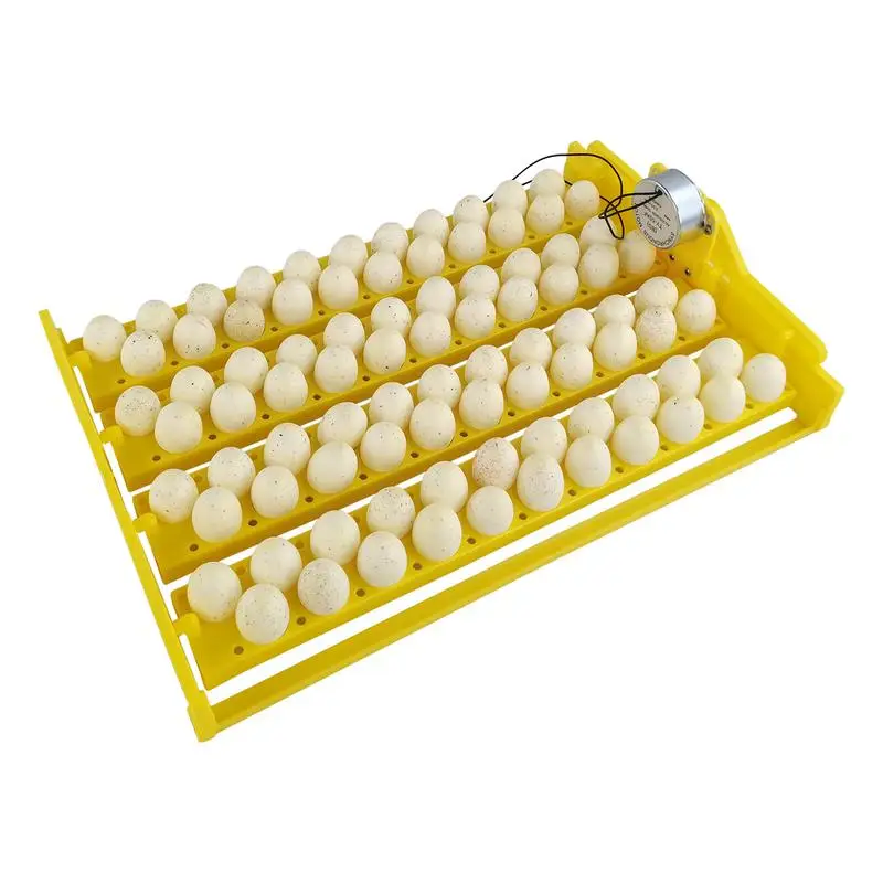 

Egg Turning Tray Automatic Egg Turner 88 Eggs Fully Automatic & Digital Incubator For Hatching Quail Birds Poultry