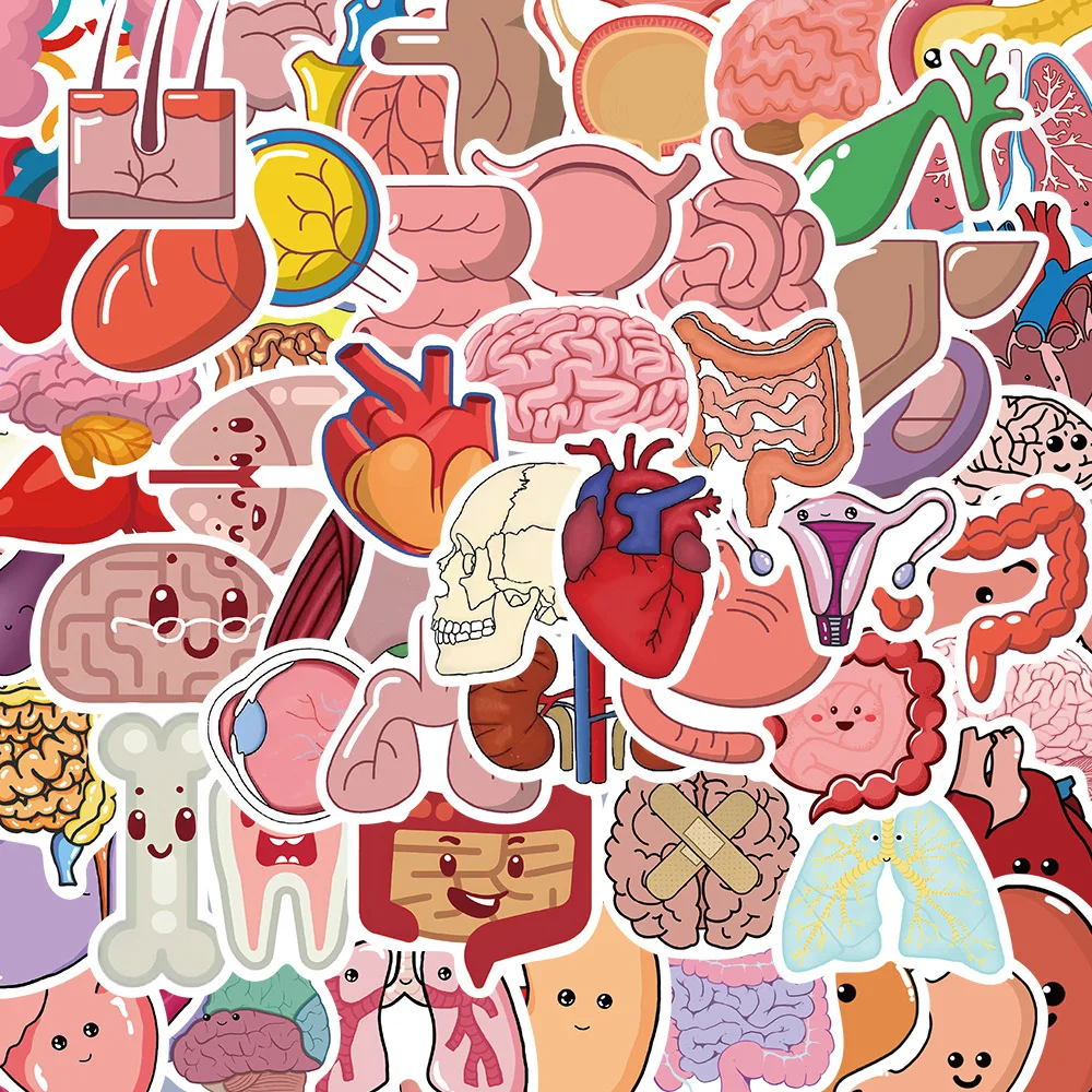 

Cartoon Human Organs Stickers Kids Toys Laptop Skateboard Notebooks Luggage Cool Gadgets Varied Sticker Phone Cases Guitar