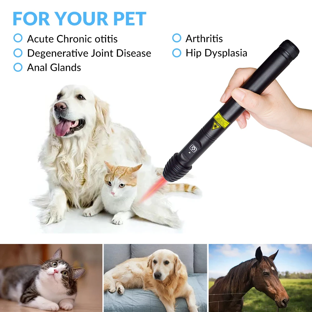 

1000mW 808nm veterinary use Cold Laser Therapy Acupuncture Pen for Rehabilitation Physiotherapy