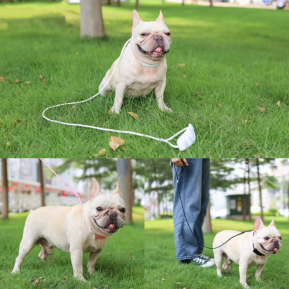 

Pet Dog Nylon Leash Rope Small Medium Dogs Training Traction Collar Strap Integrated Competition Training Rope for Pet