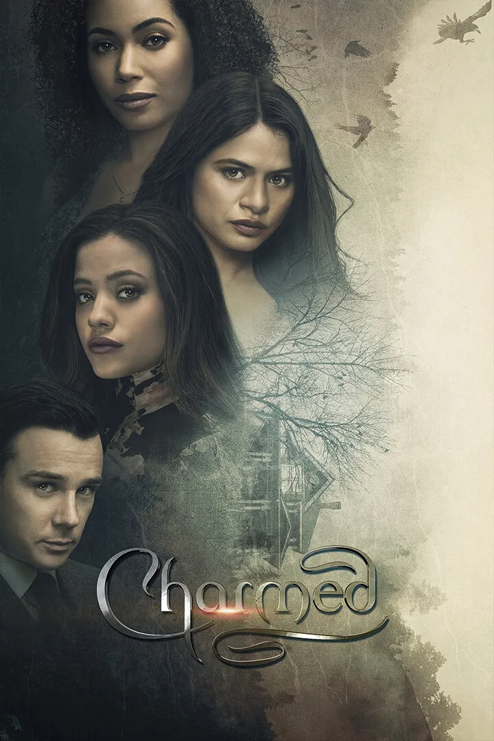 Фото Постер к фильму «Charmed Show» от Эми Рардин, 2018 год, настенное искусство, декор для дома в римском стиле №5