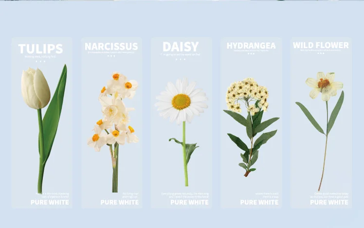 

ПВХ закладки для книг, набор из 5 штук