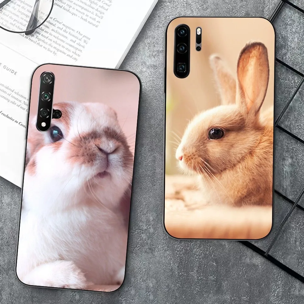 

Cute Bunny Rabbit Phone Case For Huawei P 8 9 10 20 30 40 50 Pro Lite Psmart Honor 10 lite 70 Mate 20lite