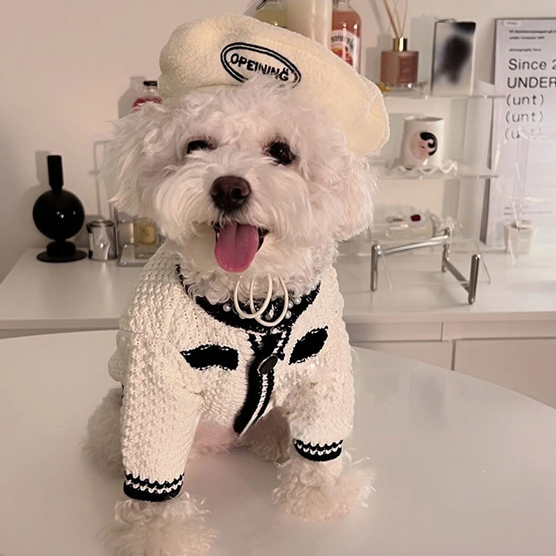 

Dog Beret Pet Hat Cat Bichon Cute Decorative Hat