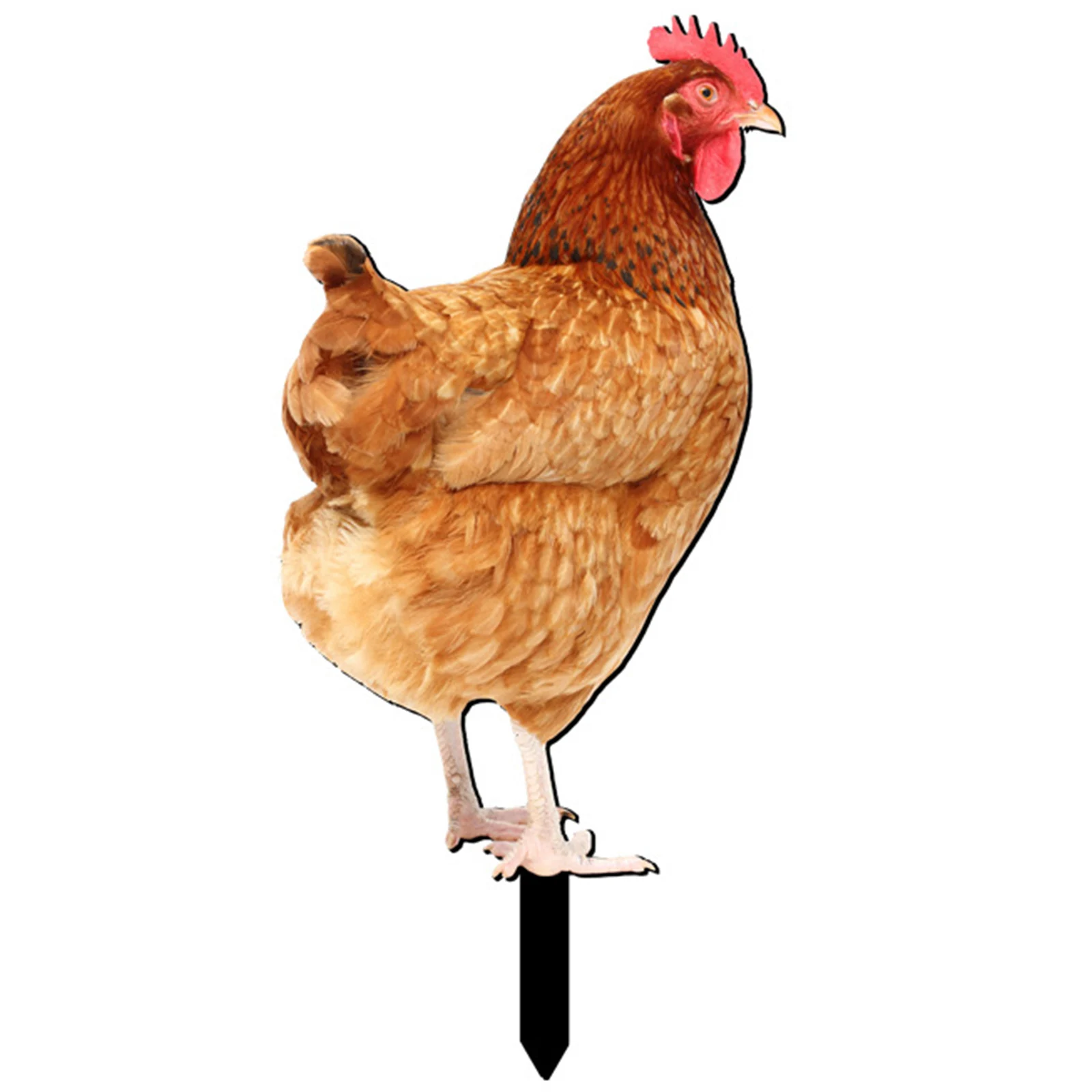 

Decorative Chicken Sign Poles 1/3Pcs Acrylic Backyard Chick Characters Farmhouse Statue Garden Lawn Simulation