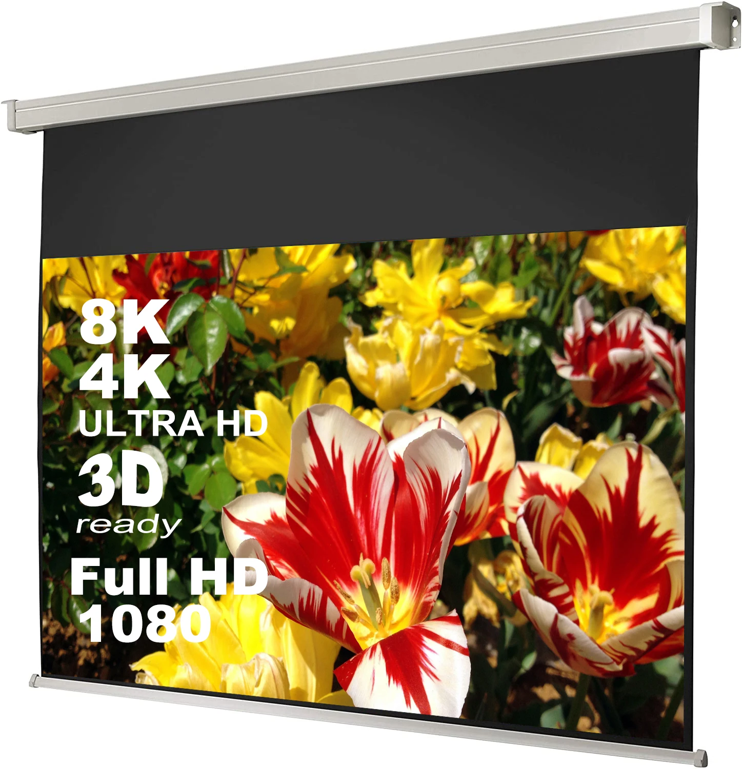 

300x169 см матовый белый моторизованный Электрический проекционный экран для офиса/домашнего кинотеатра, экраны проектора для стен