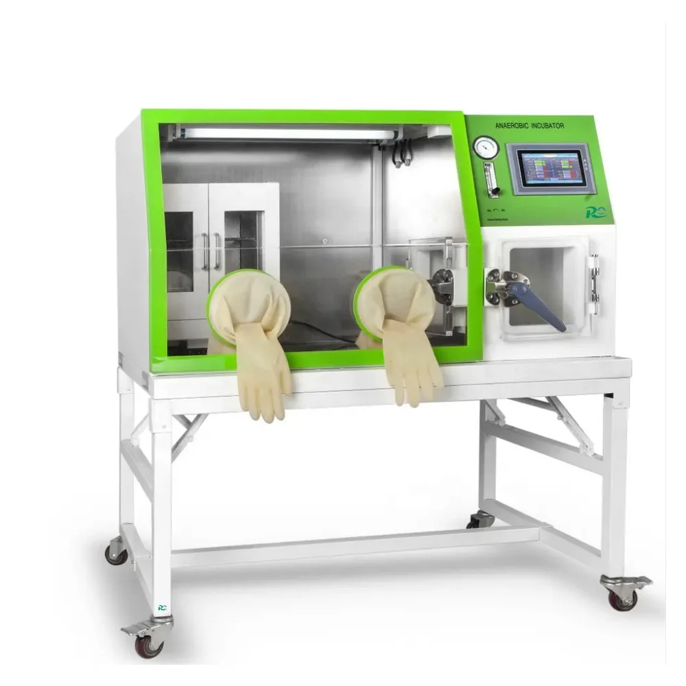 

Hot sell anaerobic bacteria cultivation incubator lab incubator