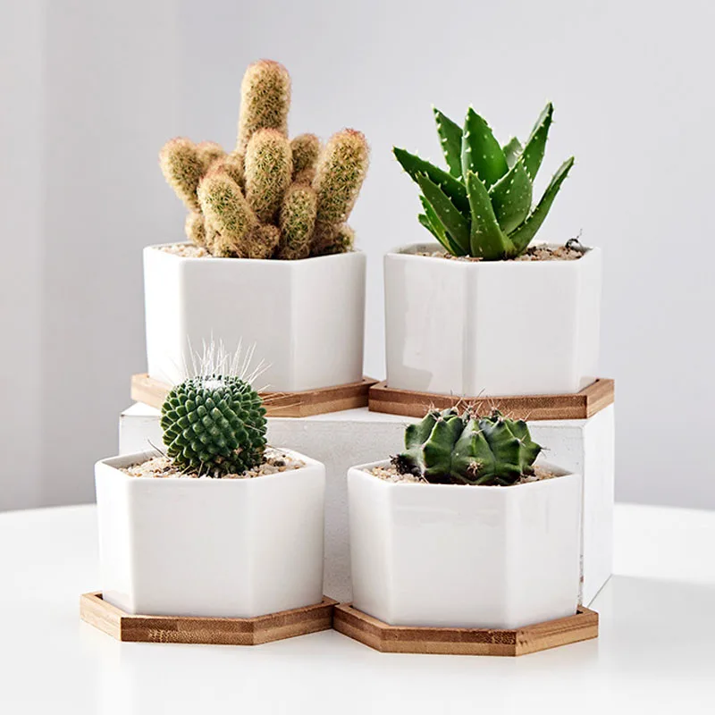 

Простой белый фарфор шестигранный горшок для суккулентов керамический цветочный горшок для дома офиса контейнер для зеленых растений