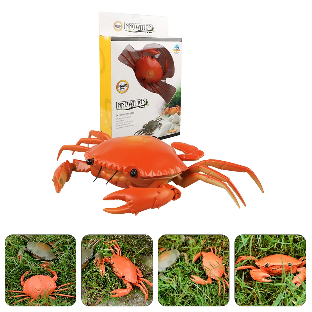 

1 Set Crab Remote Controller Simulation Electric Crab Model Crab for Toddlers
