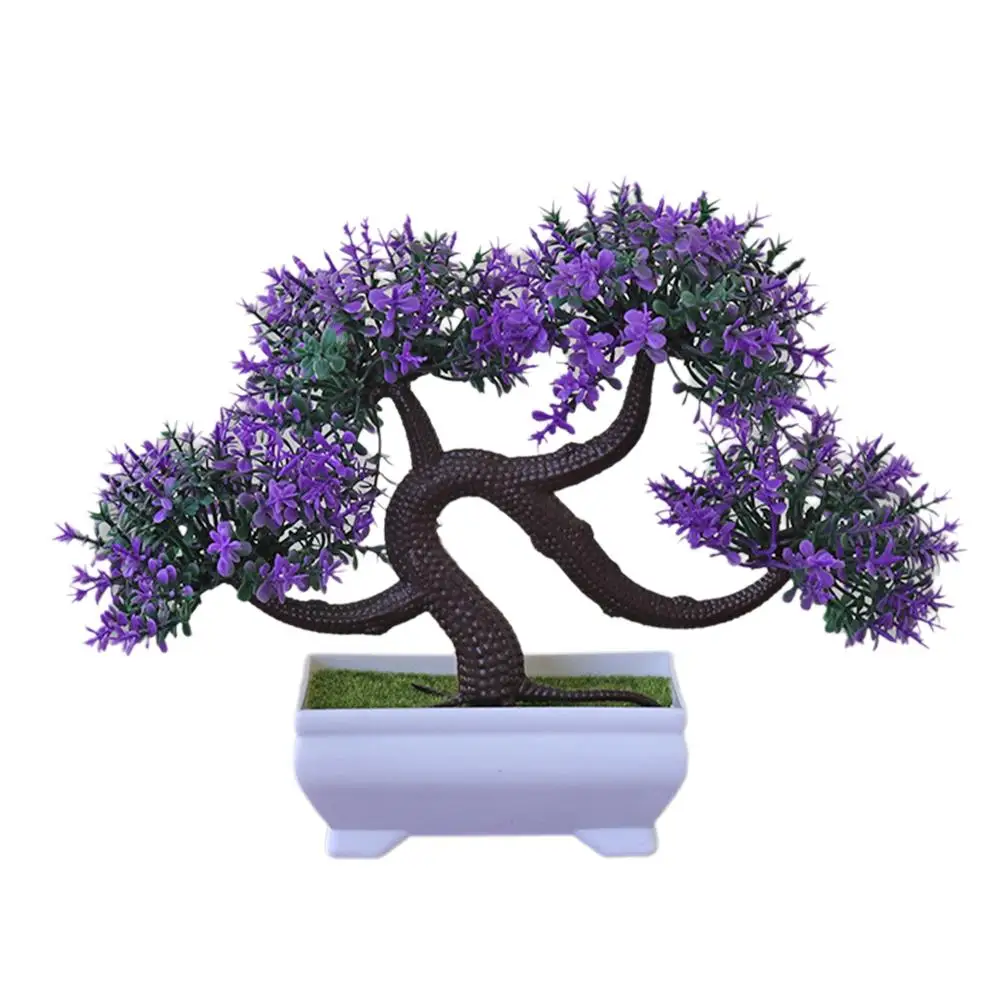 Семейный дракон бороды дерево бонсай приветственное украшение из сосны