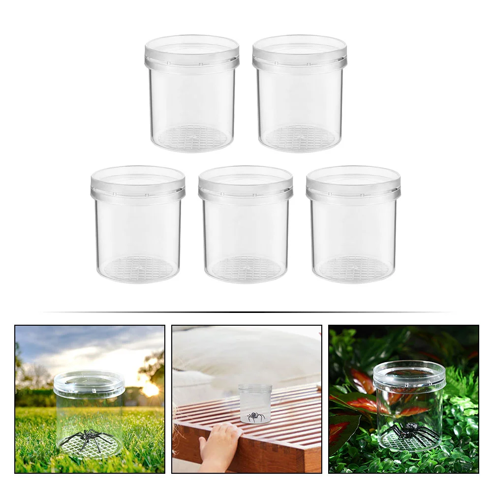 5-шт стеклянная чашка для наблюдения за насекомыми студенческий пластиковый