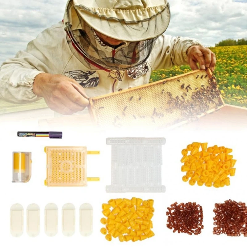 

Queen Rearing System King Cultivating Box Plastic Cells Cups Notkit Roller Clip Cage Beekeeping Tools Supplies