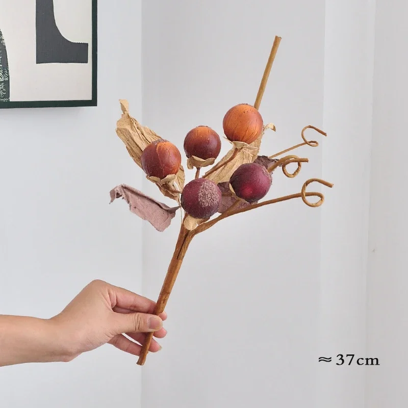 

Искусственные сухоцветы Сирация Grosvenorii