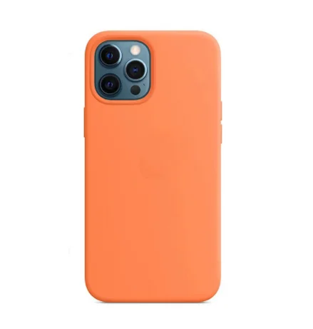 

Liquid Animation Silicone Magnetic Case For iPhone 12 Pro Max 12 Mini Case Wireless Charging Drop Protect Cover-Kumquat