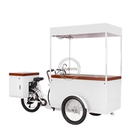 solar power electric cargo trailer bike with 230l freezer customizable ice cream tricycle ice cream veding bike