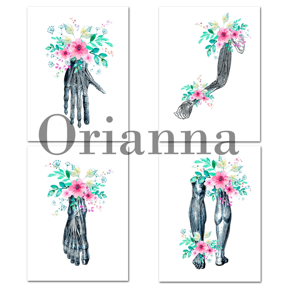 

Floral Muscular System Anatomy Print Hand Foot Tendons Orthopedic Art Medical Poster Massage Therapist Gift Doctor Decor Canvas
