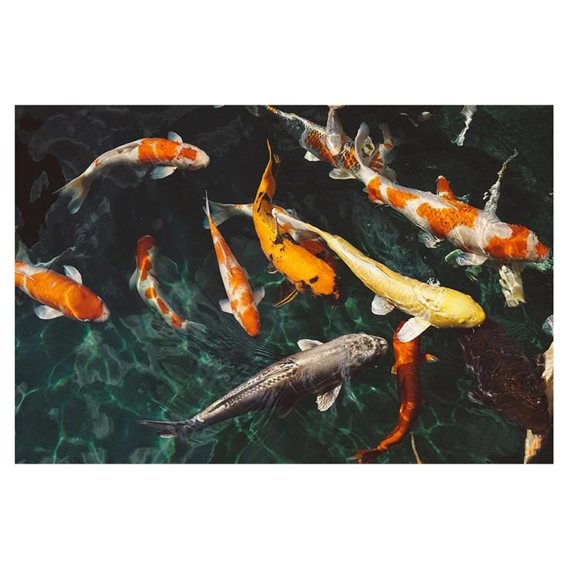 DIY алмазная живопись полный алмаз круглый кои играющий в воде 30X40 см вышивка