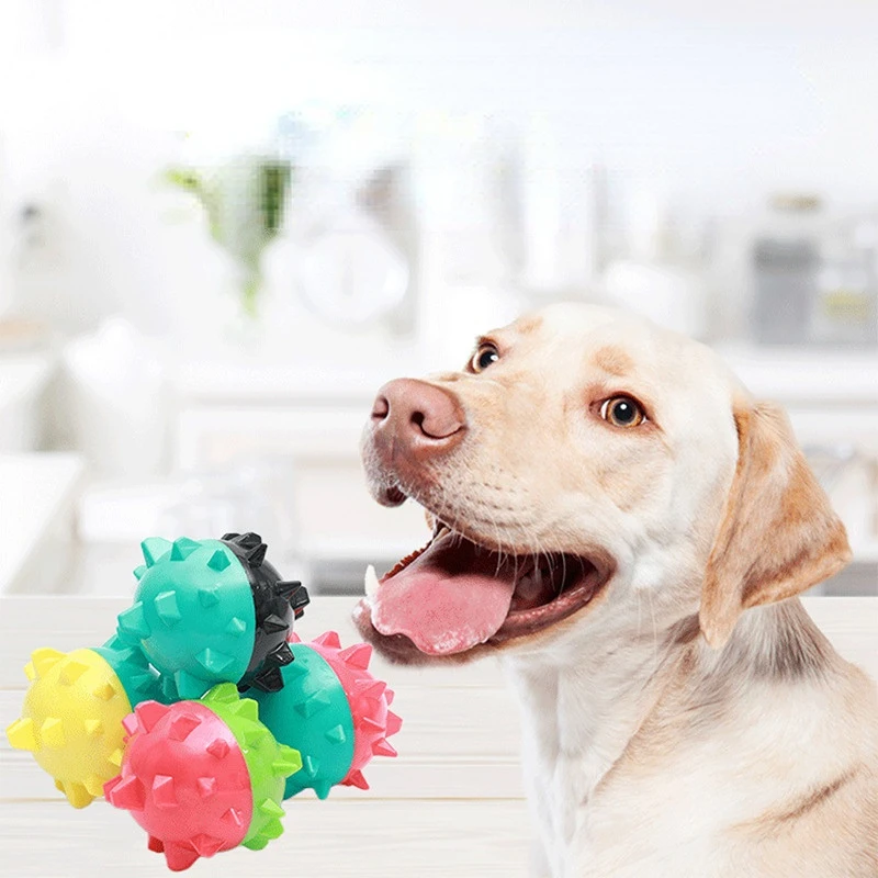 

Pet Dog Toy Bouncy Bite-Resistant Solid Urchin shape Ball TPR Rubber Chewing Toy Outdoor Throwing Retrieve Dog Training Supplies